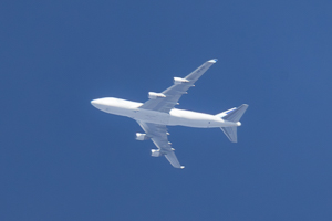 OE-IFD